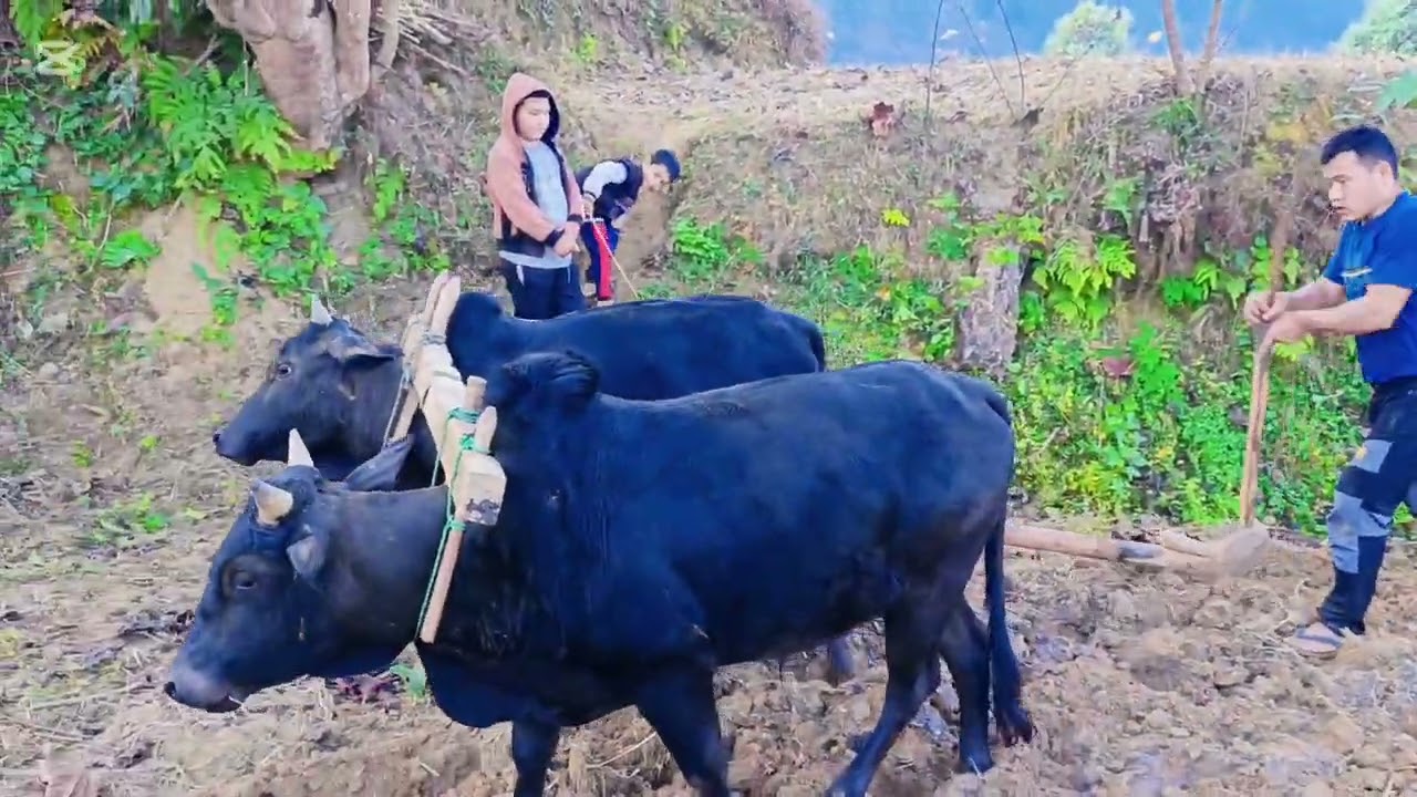 ल है साथी हो गाउ घर को रमाइलो 