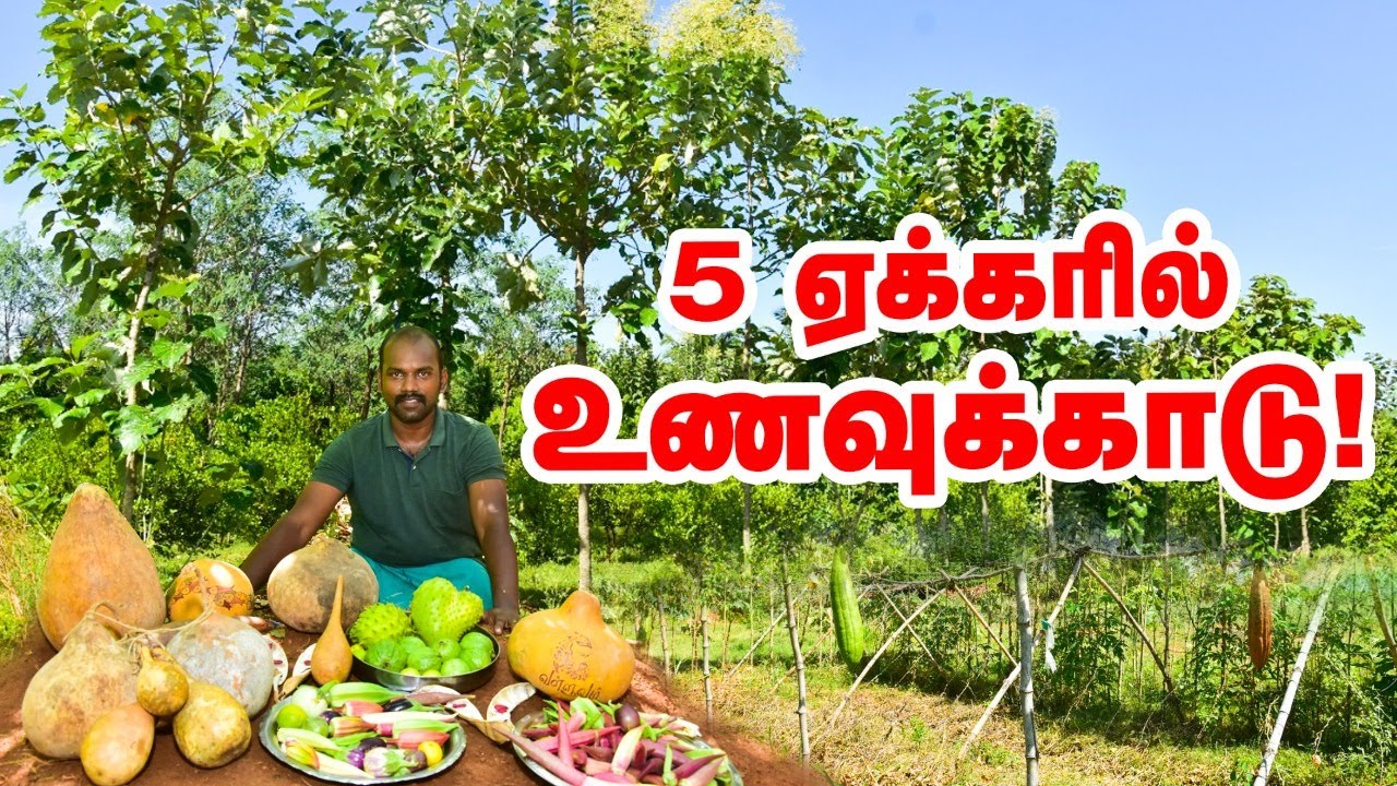 Food forest | 5 ஏக்கரில் உணவுக்காடு |  7 விதமான தக்காளி, 16 விதமான கத்திரி, 160 வகையான மரங்கள்!