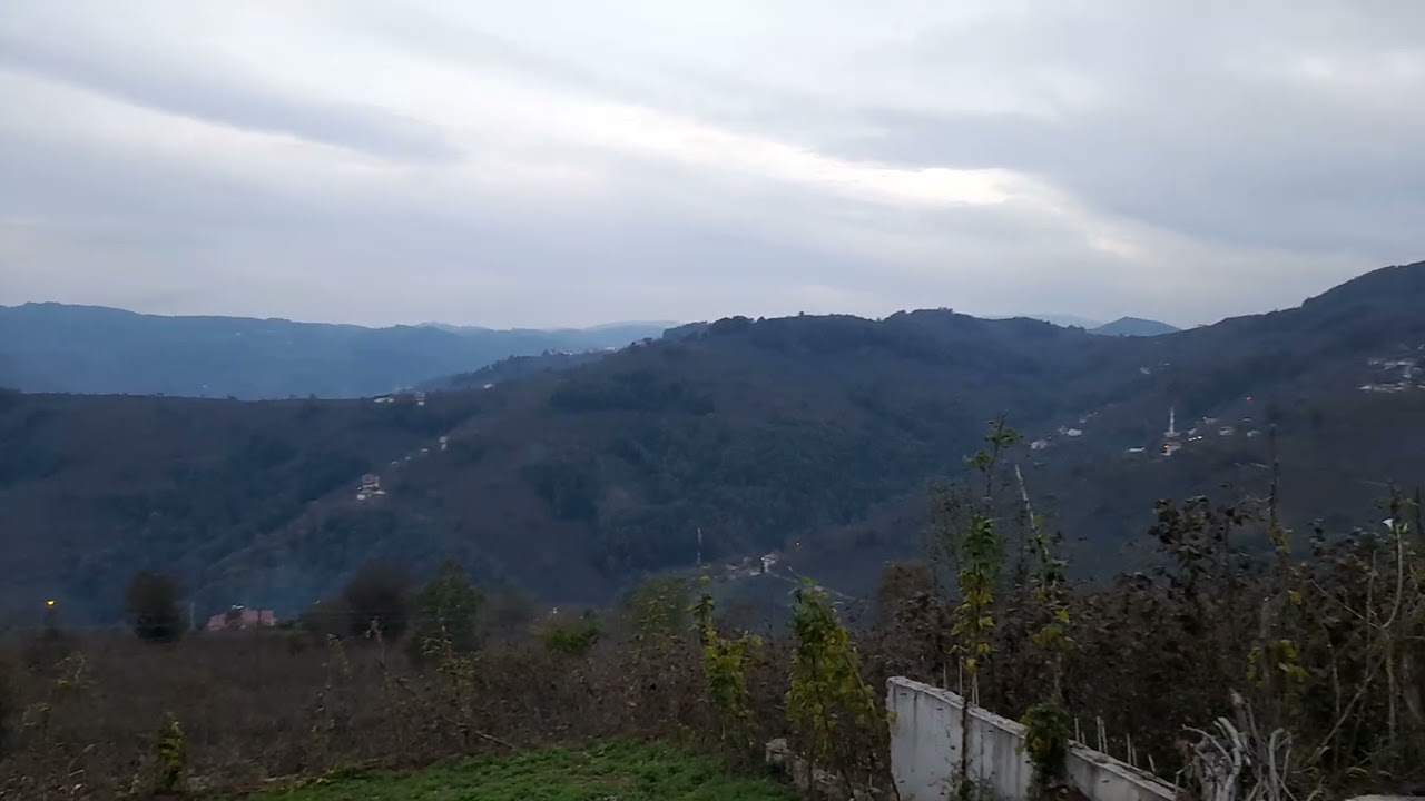 Köy