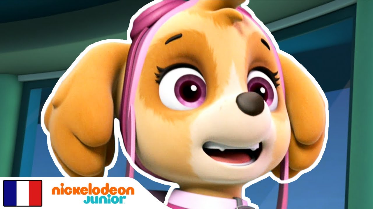 Paw Patrol : la Pat'Patrouille | À la recherche d'un sac à dos | Nick Jr.