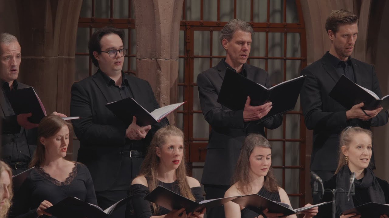 Zeronove - Zelenka: Missa Paschalis. ZWV 7: V. Agnus Dei. Agnus Dei