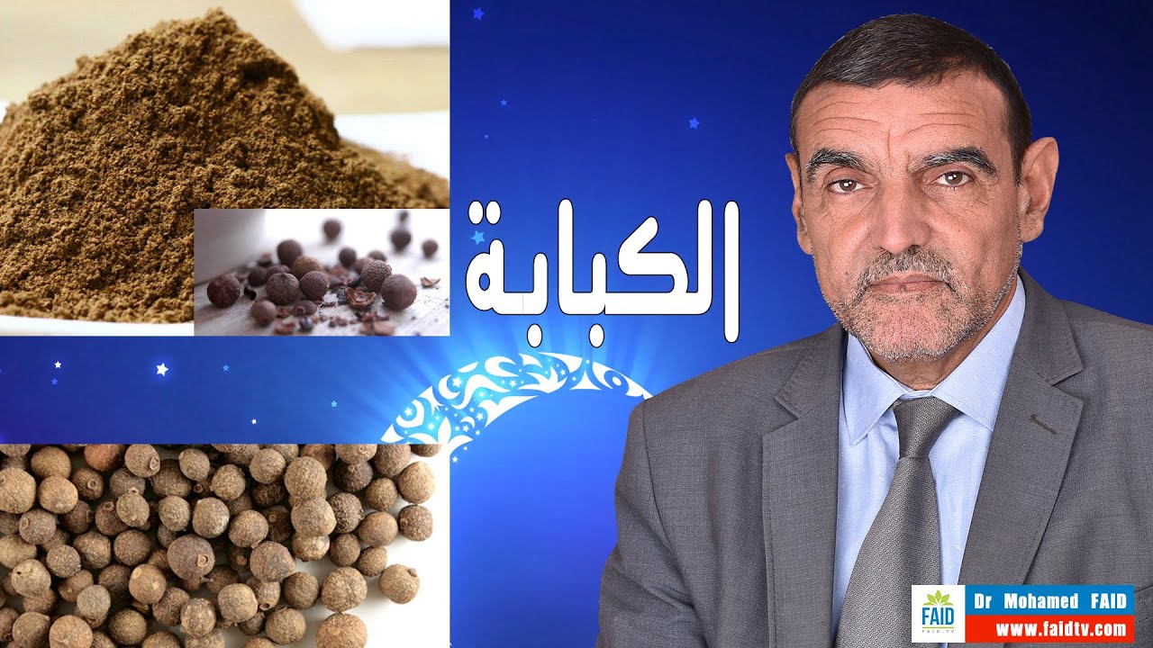 الكبابة  | cubeb | الدكتور محمد فائد