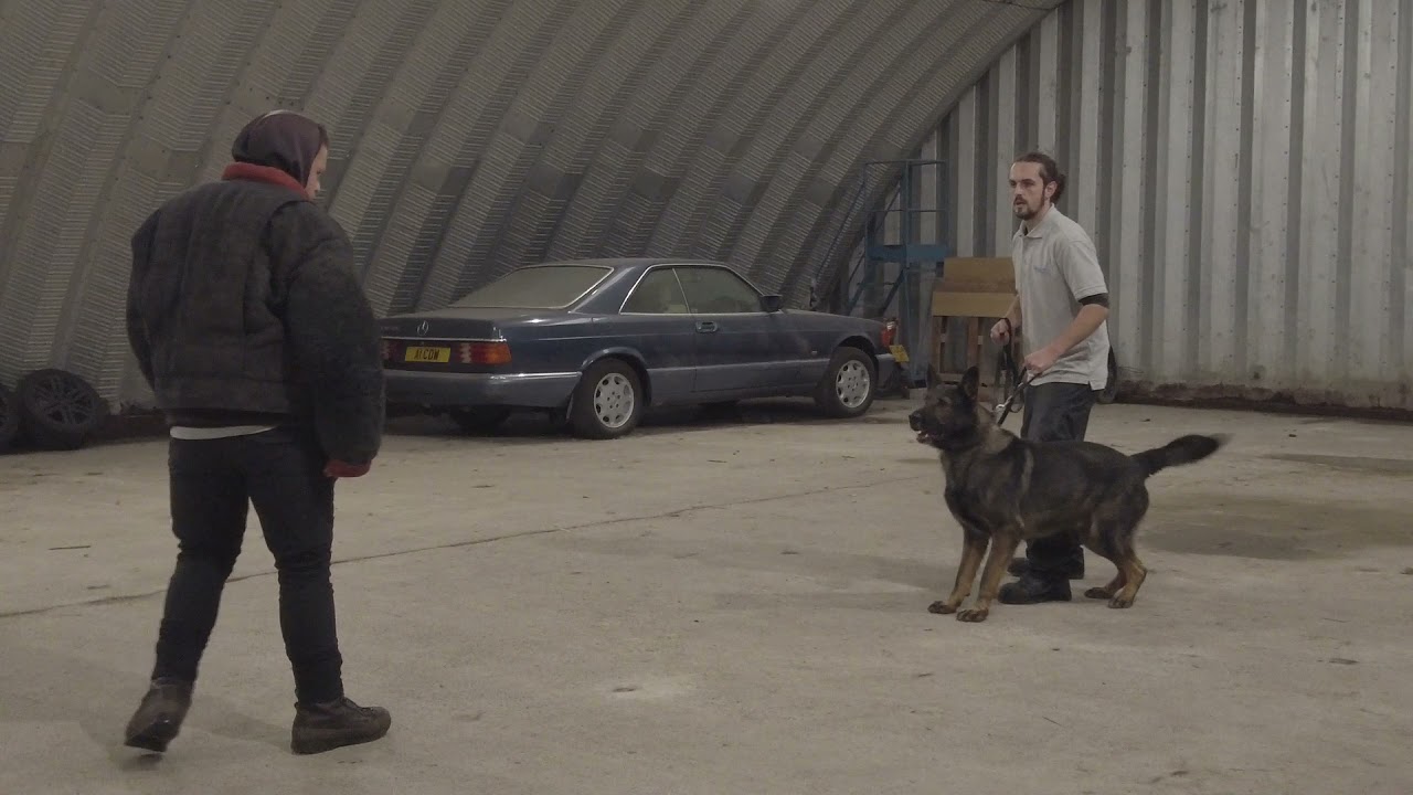 A fun afternoon training at A1K9