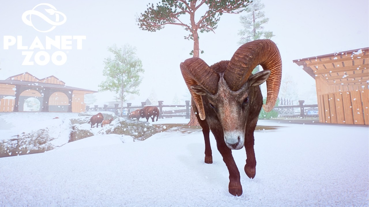 Integrating Bighorn Sheep into an American Bison Herd