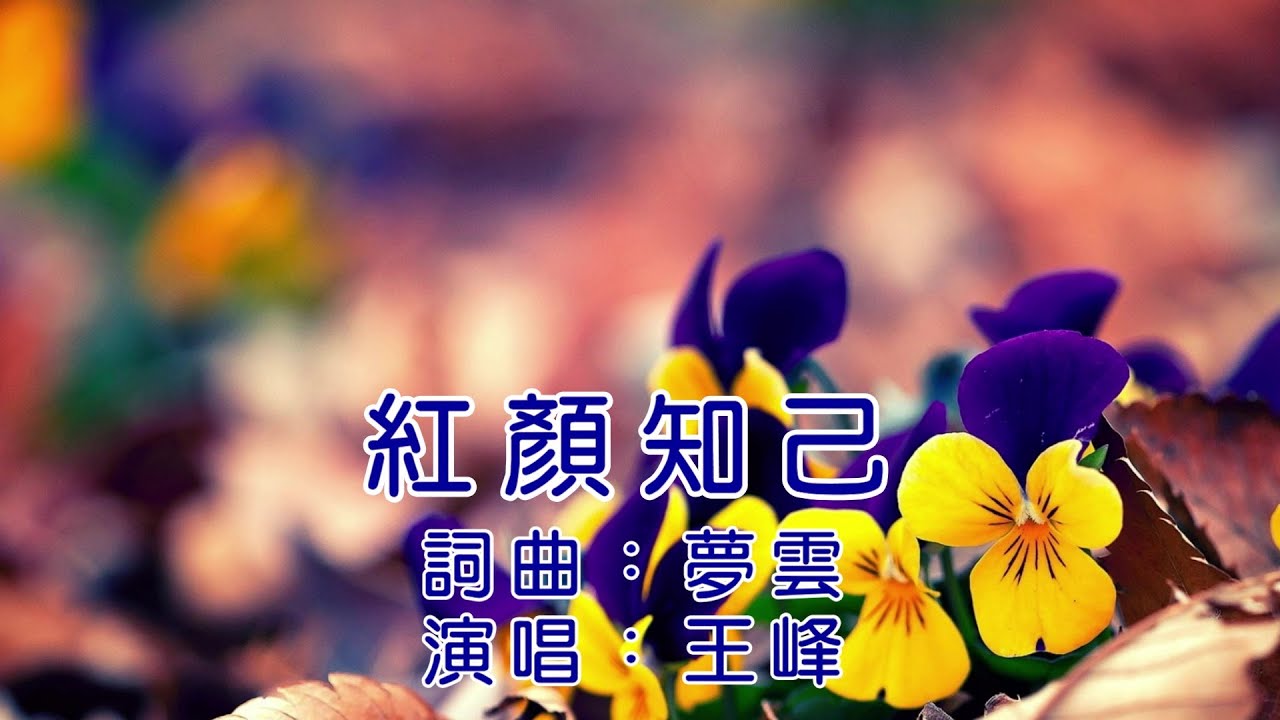 紅顏知己 王峰