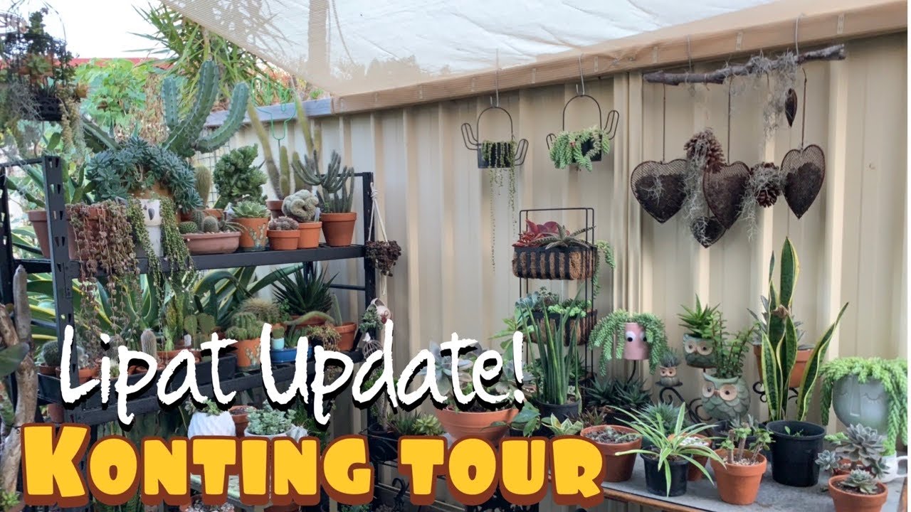 Garden Updates etc.
