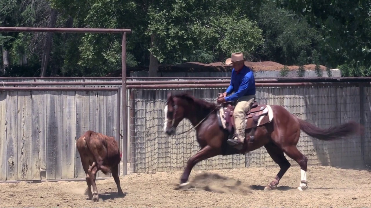 Monty Roberts' Flag Is Up Farms Celebrates 50 Year Anniversary in 2016
