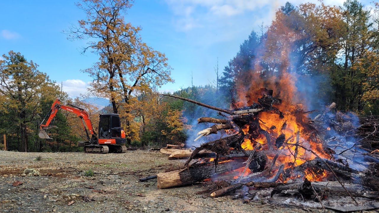 Fire on the mountain with yellow jackets and the Kubota KX 040 4