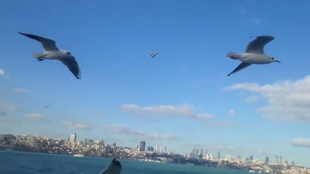Sen İstanbul'sun Yokluğunda