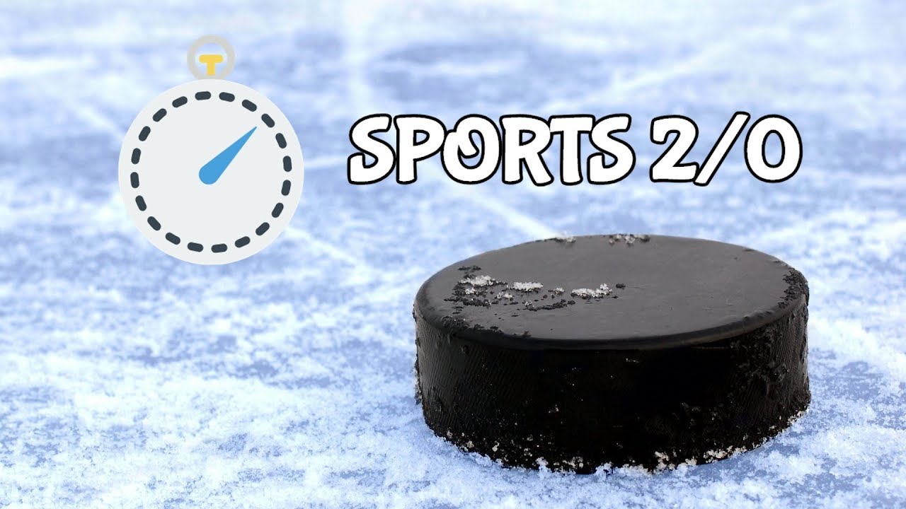 Top 5 snipers in the NHL season 2018/2019 year (goal)