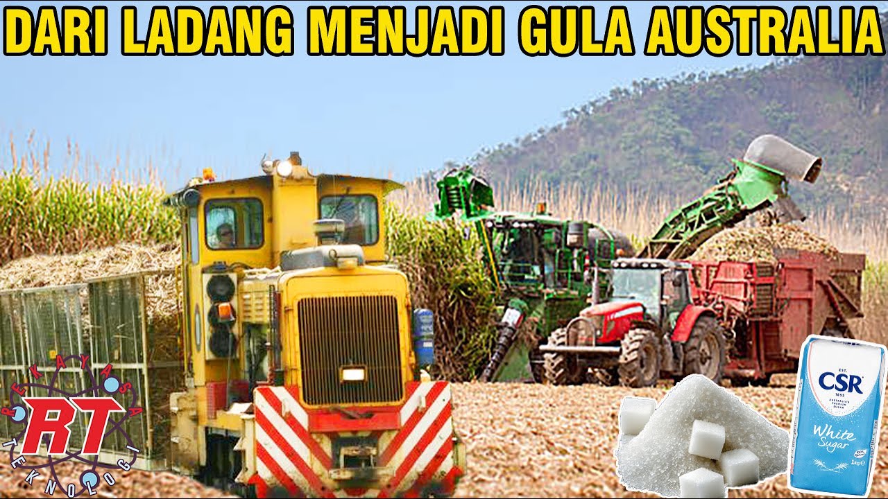 BEGINI PROSES MODERN PERTANIAN TEBU DI AUSTRALIA | RAHASIA DI BALIK GULA PASIR EKSPOR!