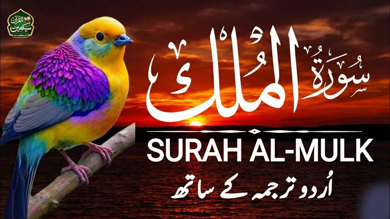 Surah Al-Mulk | Peaceful Quran Recitation with Urdu Translation for Blessings | QARI MANSOOR
