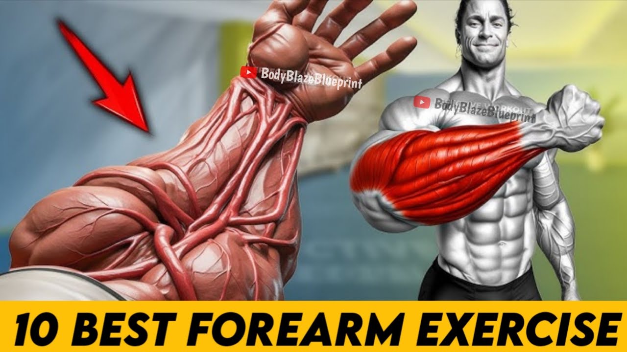 Forearm Workout At Gym // 10 Forearm Exercise 
