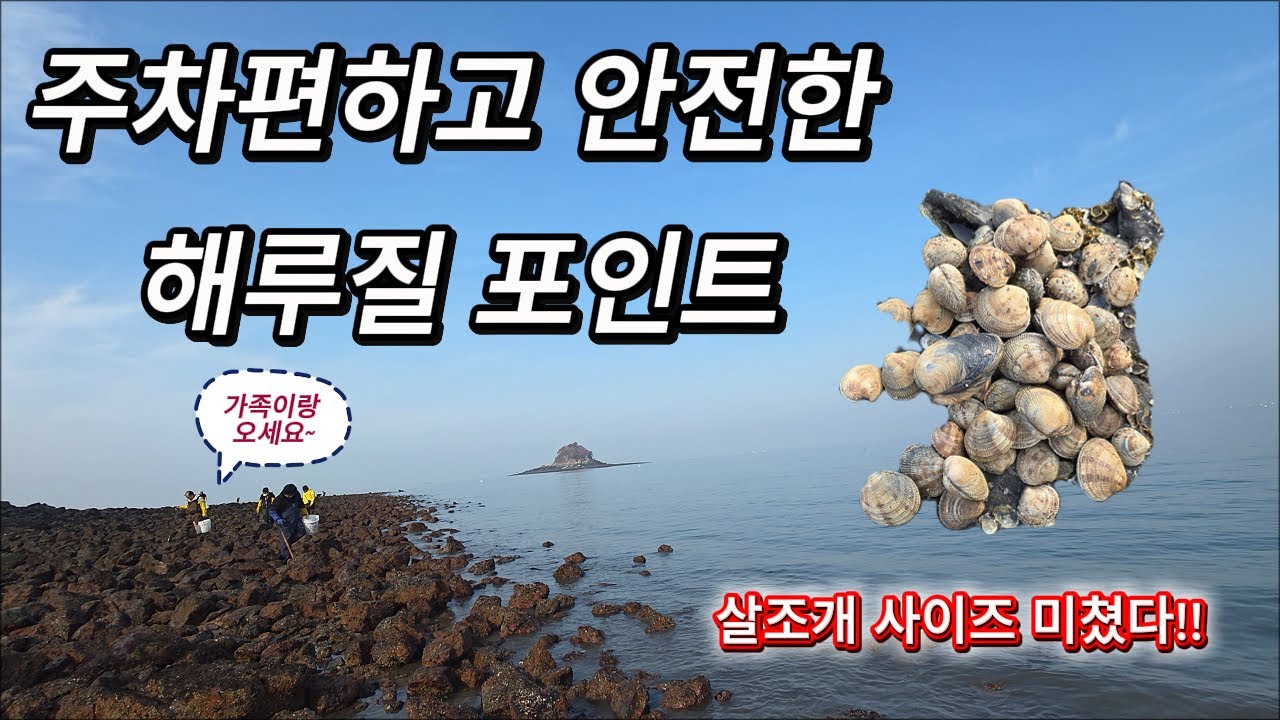 구봉도 개조개 살조개 해루질 다녀왔습니다~~!