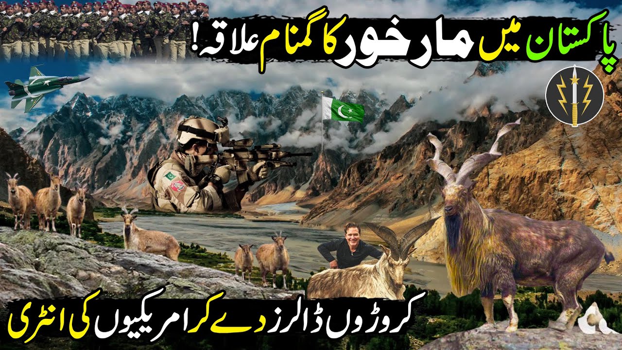Pakistan's Secret Place of Markhors | The Magnificent Markhor | Pride of Pakistan | Chitral Valley
