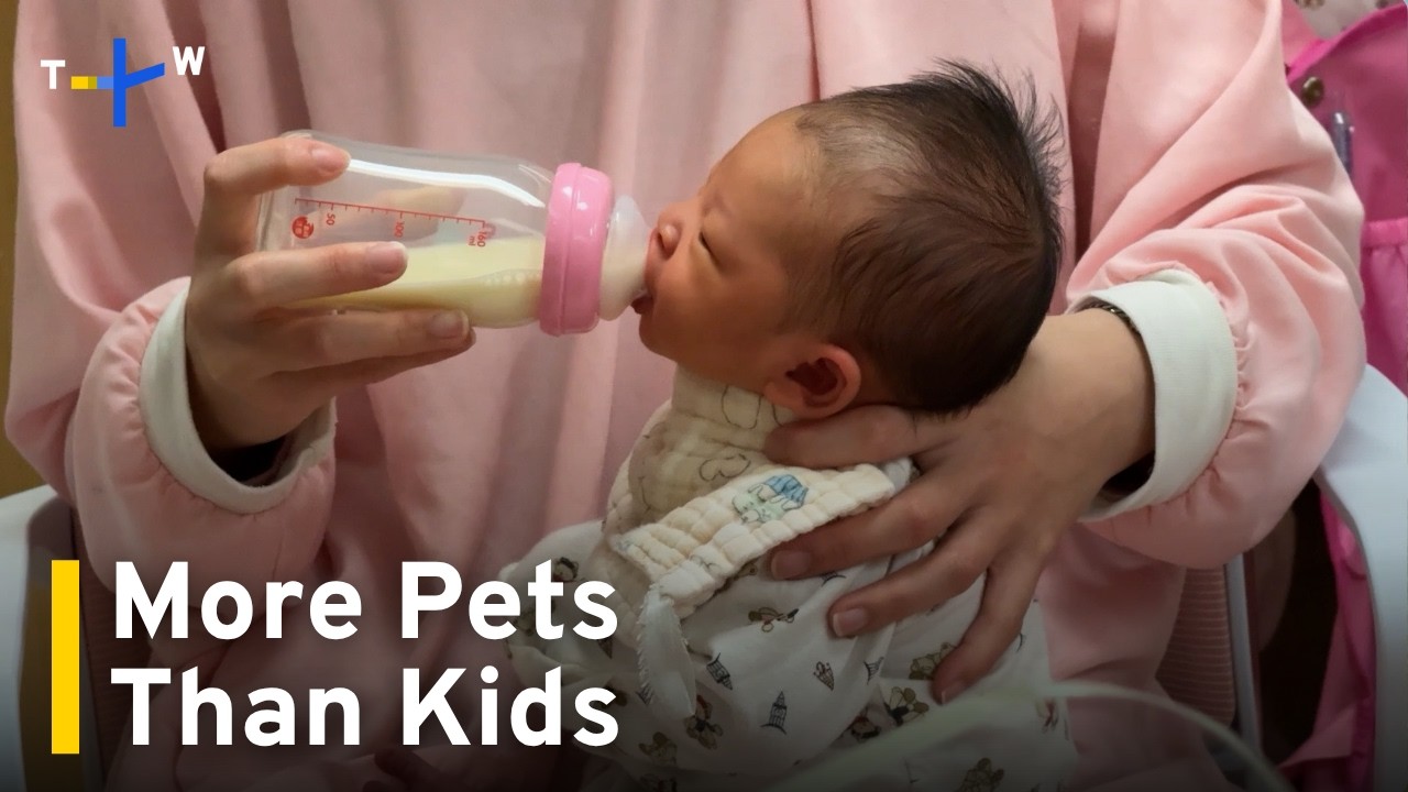 Pets Surpass Child Population As Taiwan's Birth Rate Crisis Worsens｜TaiwanPlus News