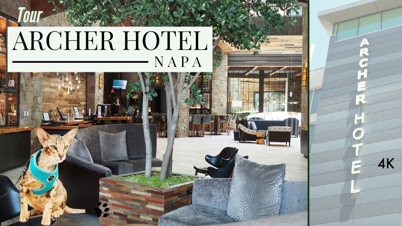 Daisy's Diary: Archer Hotel Tour, Downtown Napa, CA, Lobby & Rooftop Views, Cat Walks on Leash, 4K