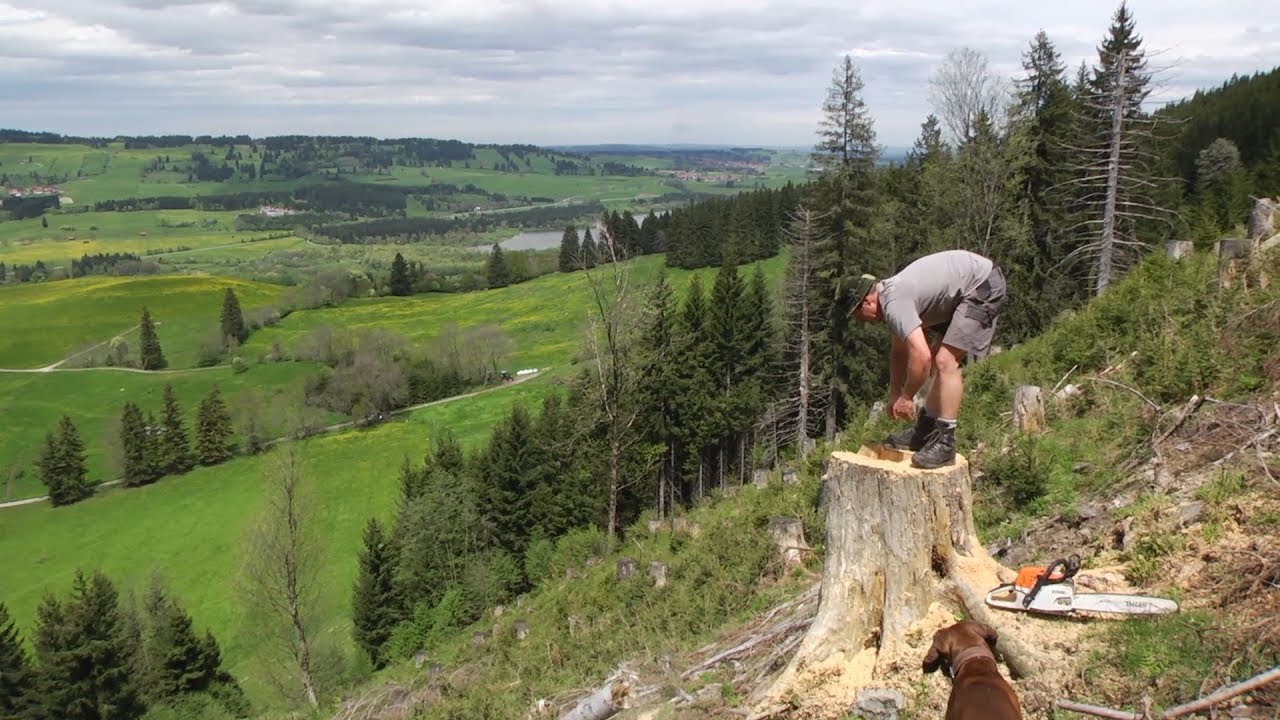 Salzlecken für Wildtiere - Bergjagdrevier #01