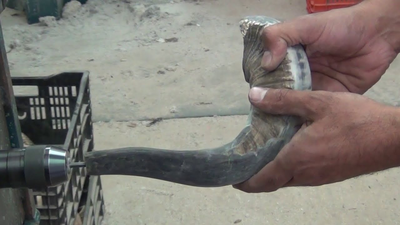 Preparação do Shofar diretamente da fábrica em Israel