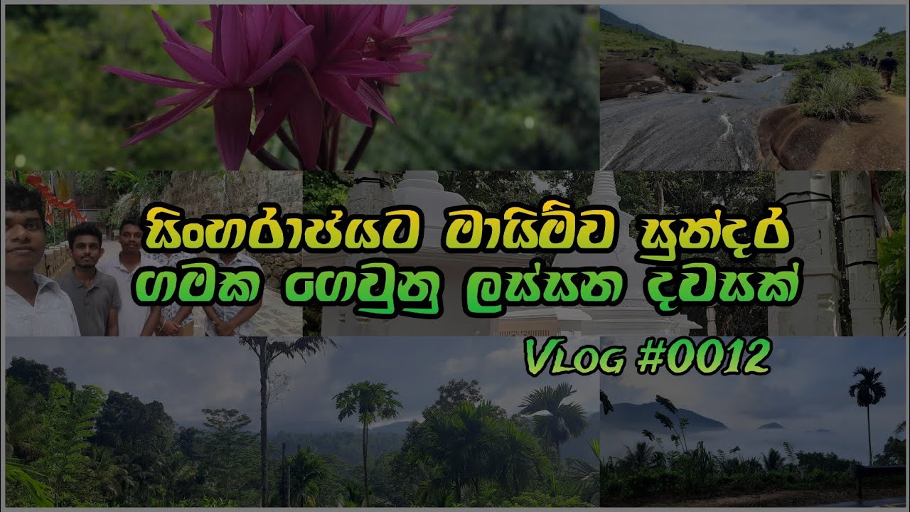 Neluwa Village  | A Few Hours Spent  In A Beautiful Village Vlog #0012  | Travel With Dila