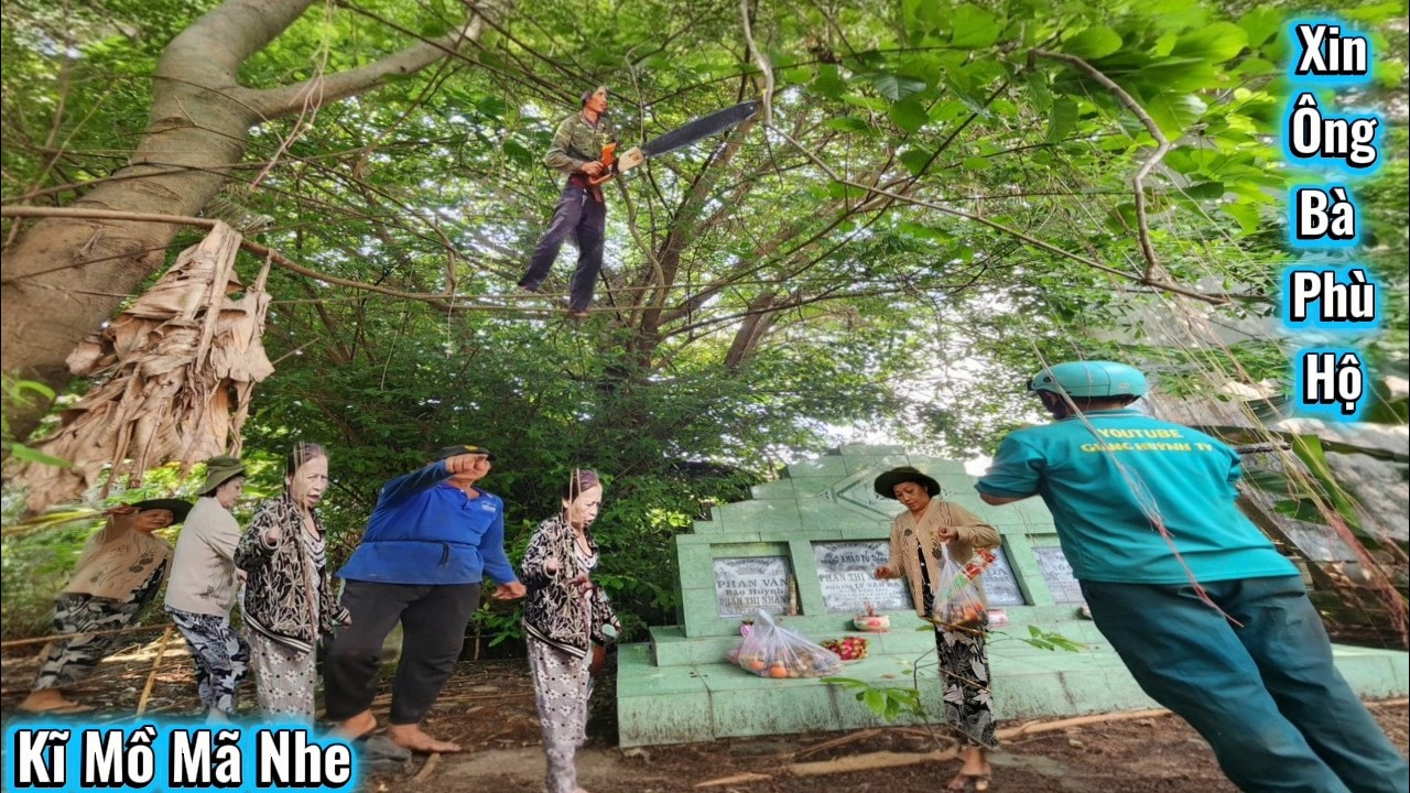 Cưa Dọn Dẹp Cây Xanh Rễ Ăn Vào Mồ Mã / Cutting and Clearing Trees at the Cemetery | 252