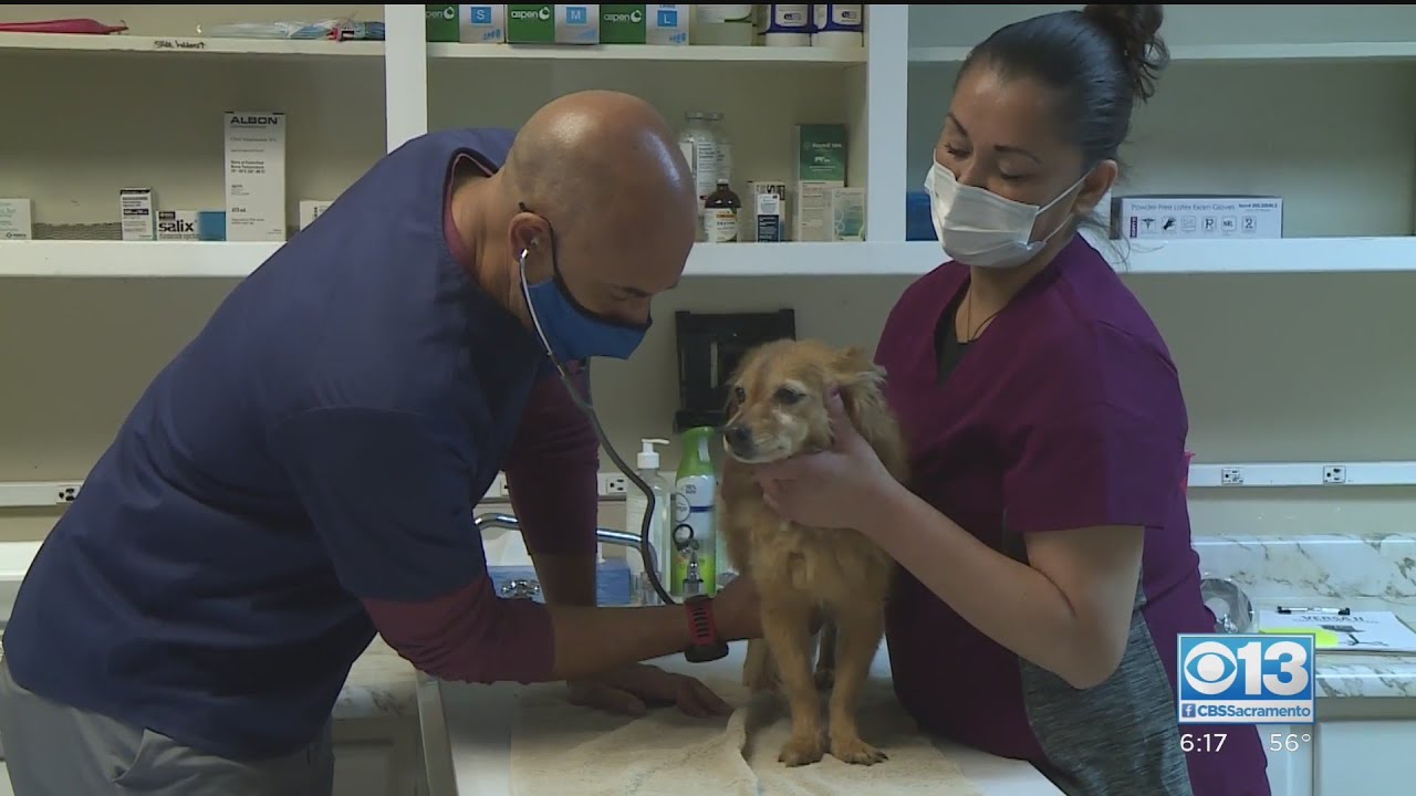'Street Vet' Returns To Where Journey Began In Modesto