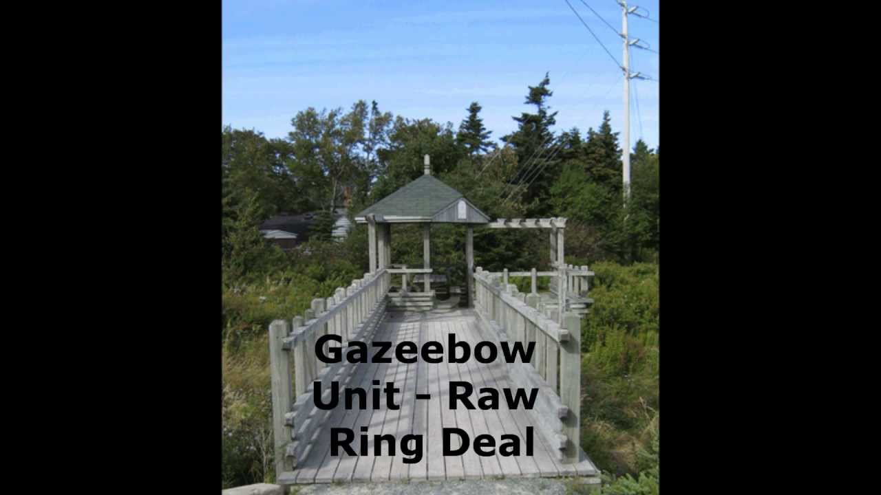 Gazeebow Unit - Raw Ring Deal
