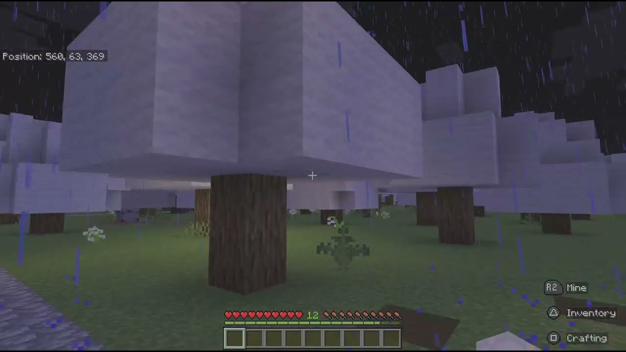 Ominous forest