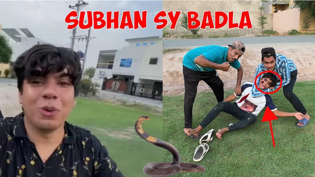 Sw pet house Walao say badla started 💪snake bhag gya🐍@