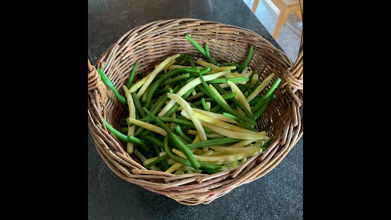 Conserver les haricots verts pour l'hiver