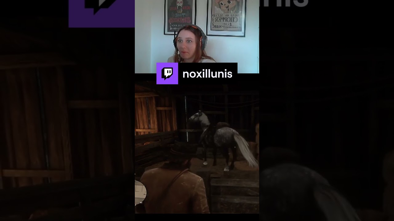 Pferdefl&uuml;sterer! | noxillunis auf #Twitch