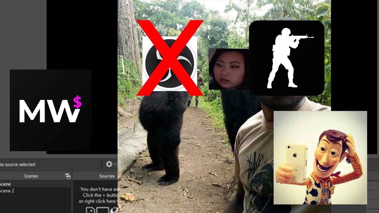 anti obs