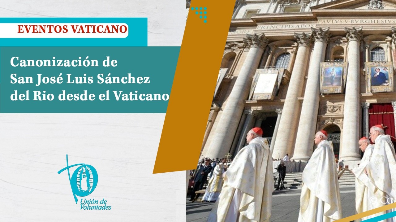 Homilia del Papa Francisco por la canonización San José Luis Sánchez del Rio.