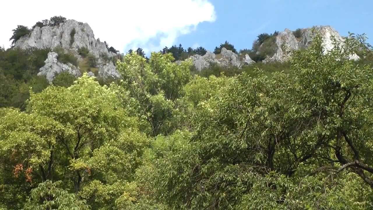 Plavecký Mikuláš - Kršlenica - Čierna skala