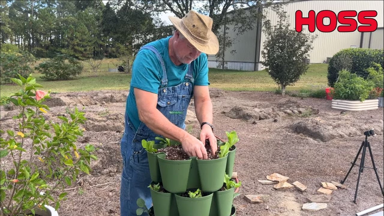 How to Grow Brassicas In A Vertical Garden!