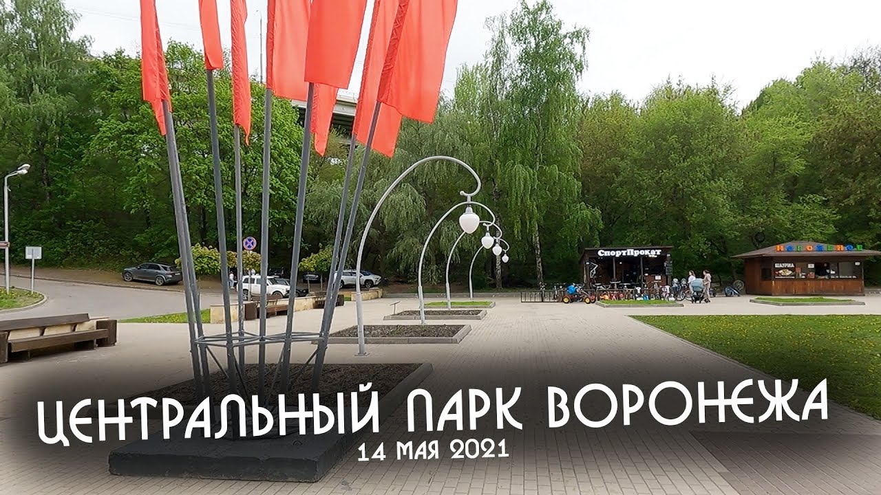 Город Воронеж Динамо Центральный парк