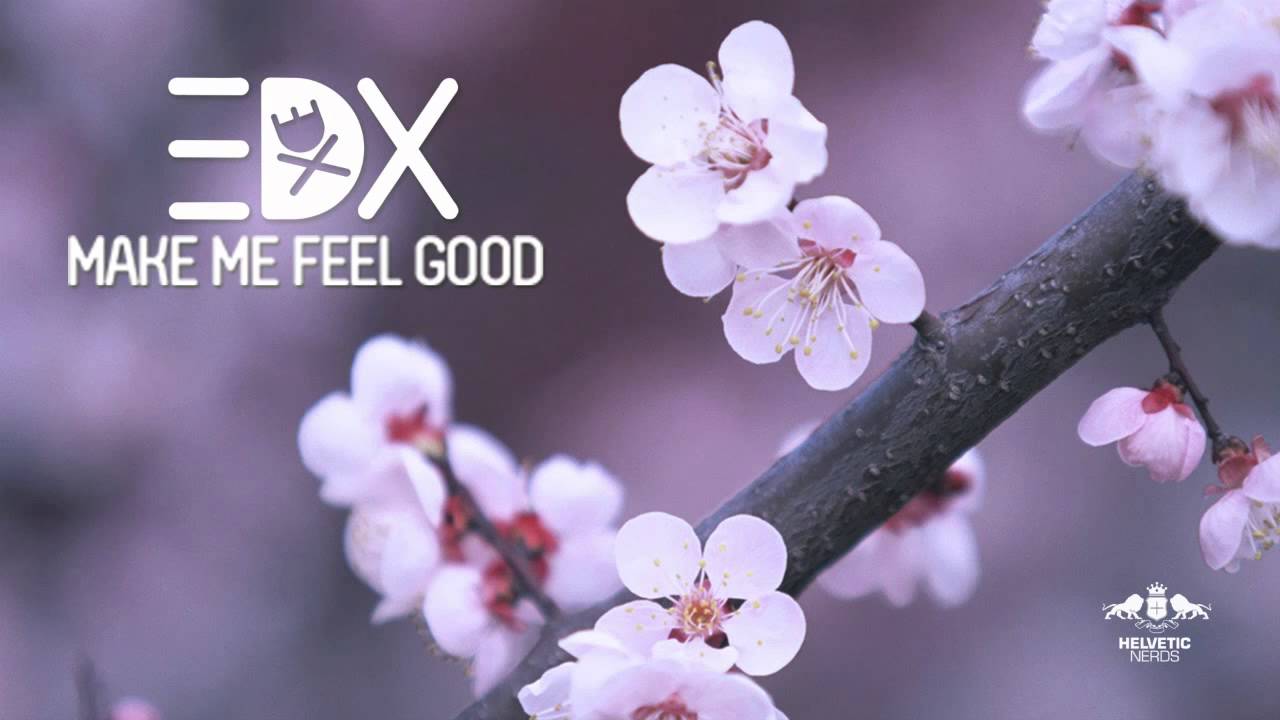 EDX - Make Me Feel Good (Extended Version)