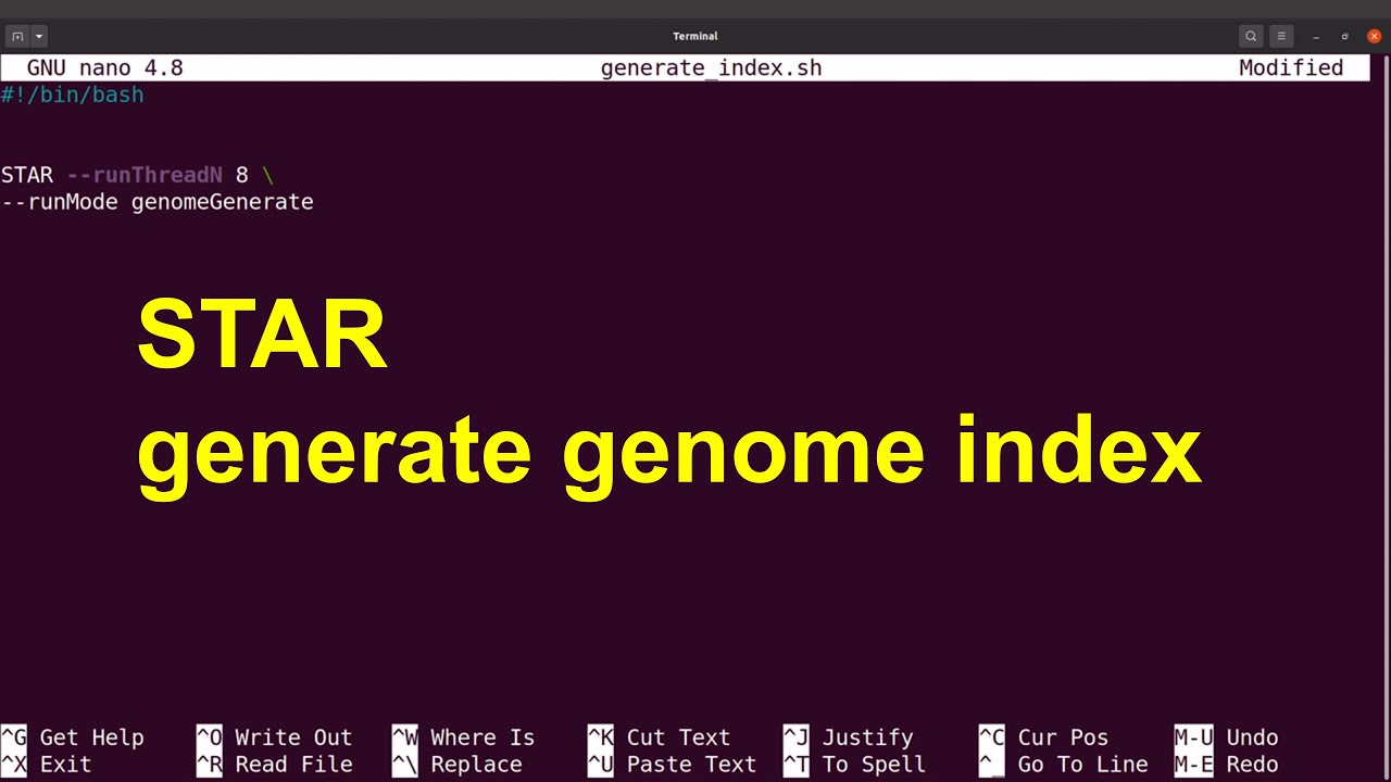 Алайнер STAR для RNA-seq | создание индекса генома в STAR