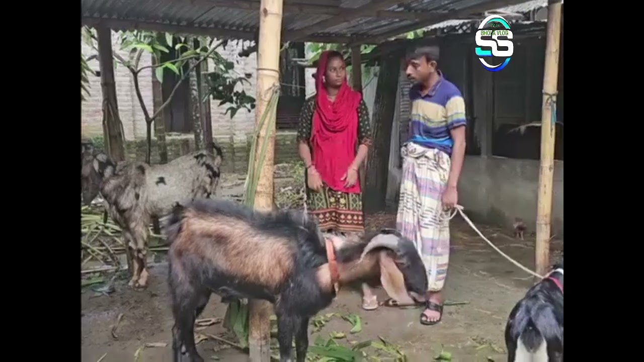 হাসেন ছোট্ট একটু গল্প শুনি কি কইতে চাইতেছে ভিডিওটা দেখবেন পাডারে নিয়ে