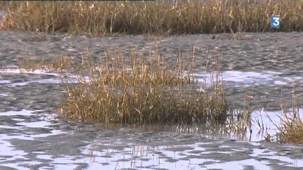 Lâcher des masses d'eau pour désensabler, l'exemple du Mont Saint Michel transposable au Crotoy ?