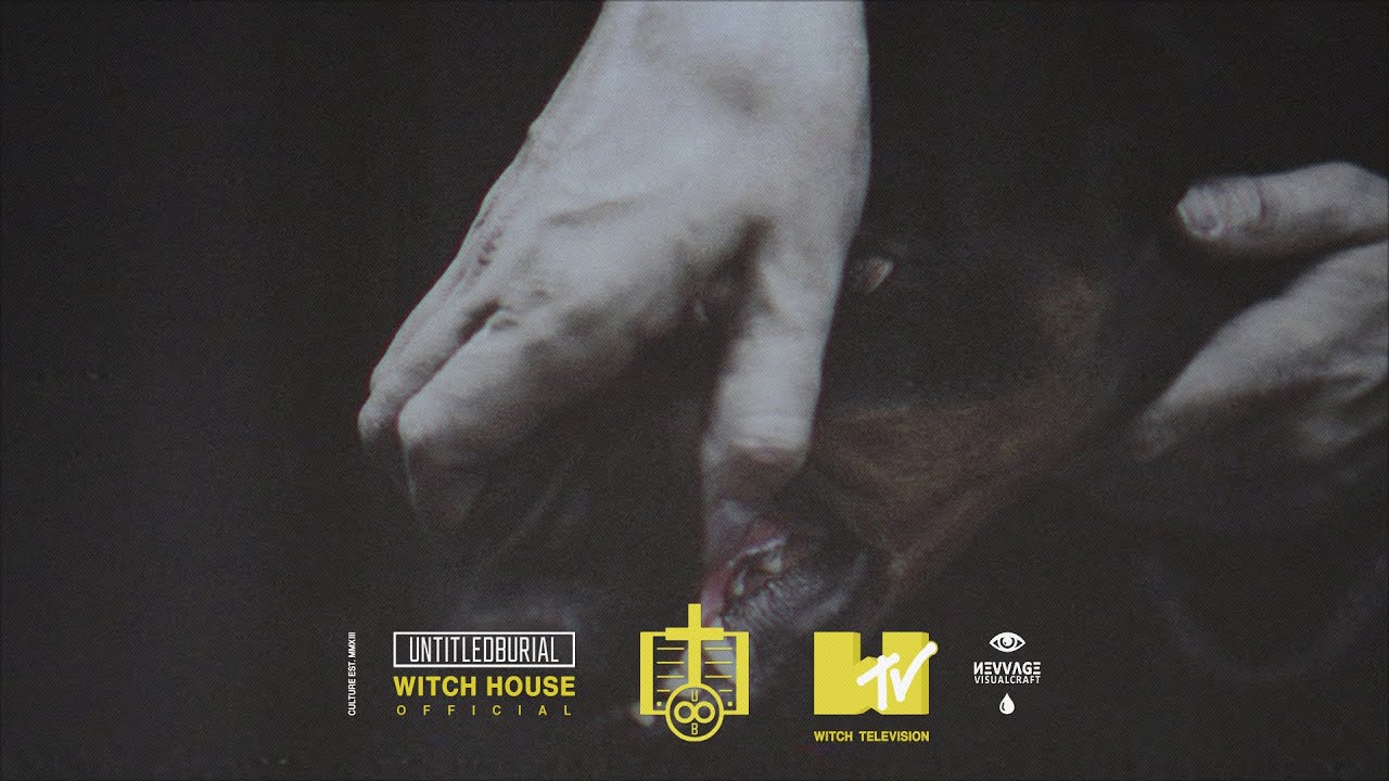♾ Blood Wolf — Smoke