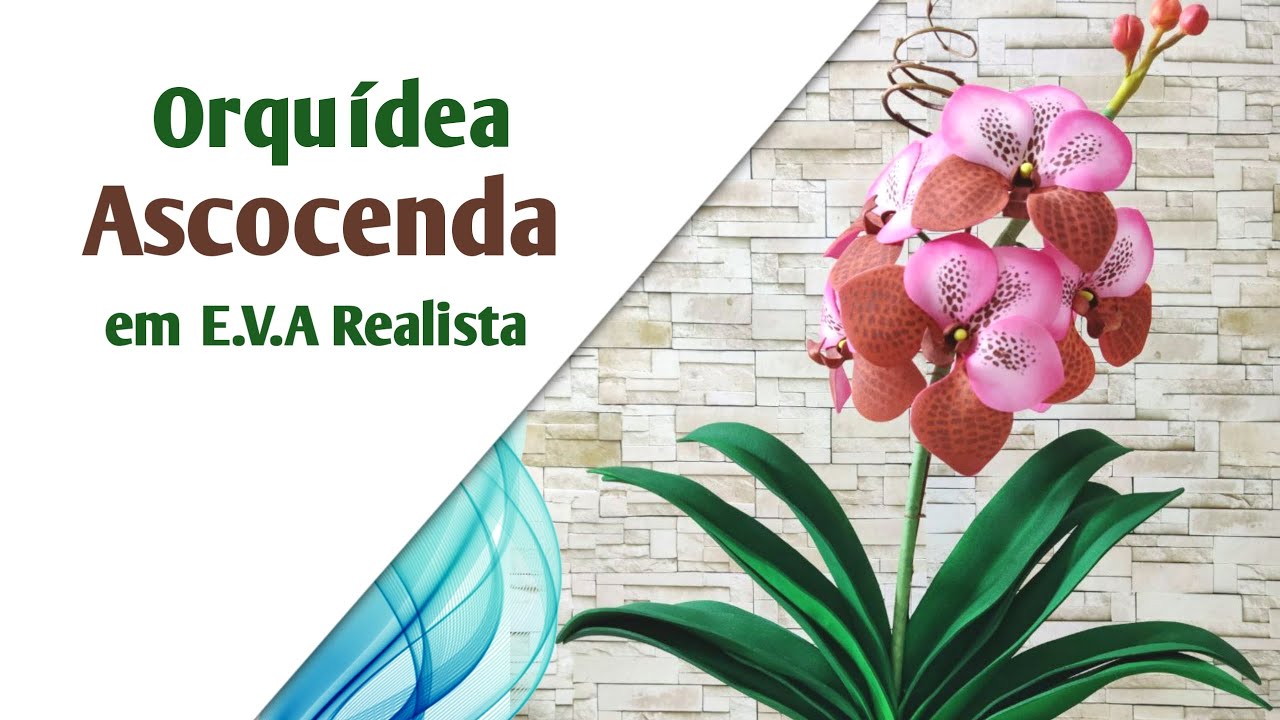 500/501 - Orquidea Vanda Ascocenda