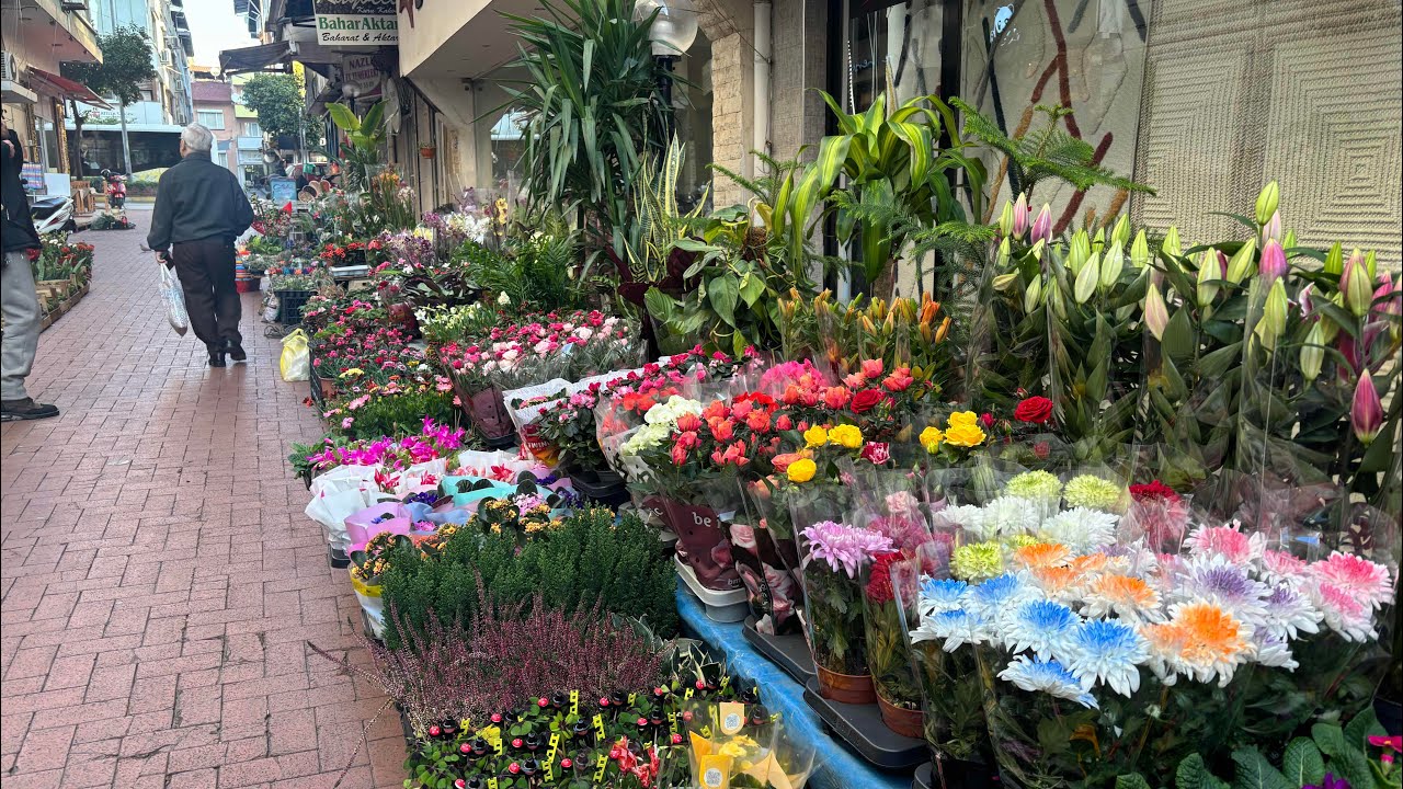 Aydın Nazilli #keşfet #kargo #çiçek #garden #plants #kesfetteyiz #05061114721 #keşfet 