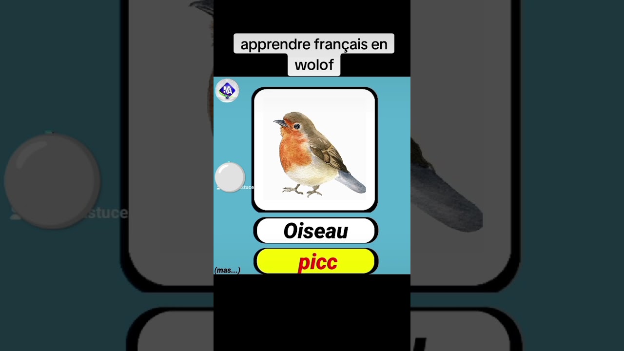 Apprendre fran&ccedil;ais en Wolof (les animaux part 2) #cours #fran&ccedil;aiswolof