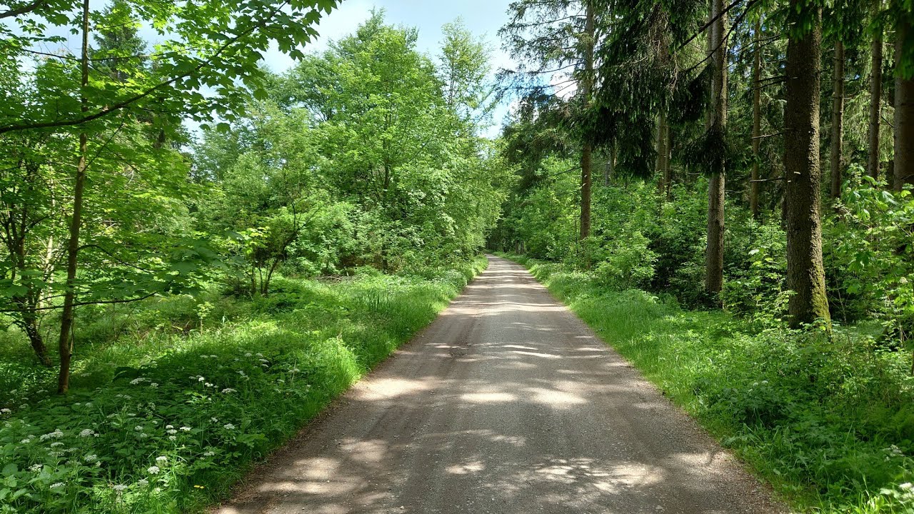 Die schönen Seiten von Hellmonsödt 16: Waldrundgang mit Aussichtswarte