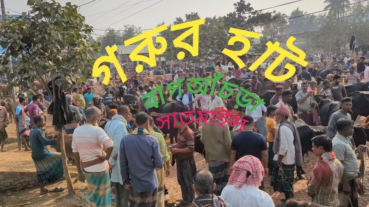 যশোর জেলার সবচেয়ে বড় পশুর হাট।।যশোর জেলার সবচেয়ে বড় পশুর হাট।।