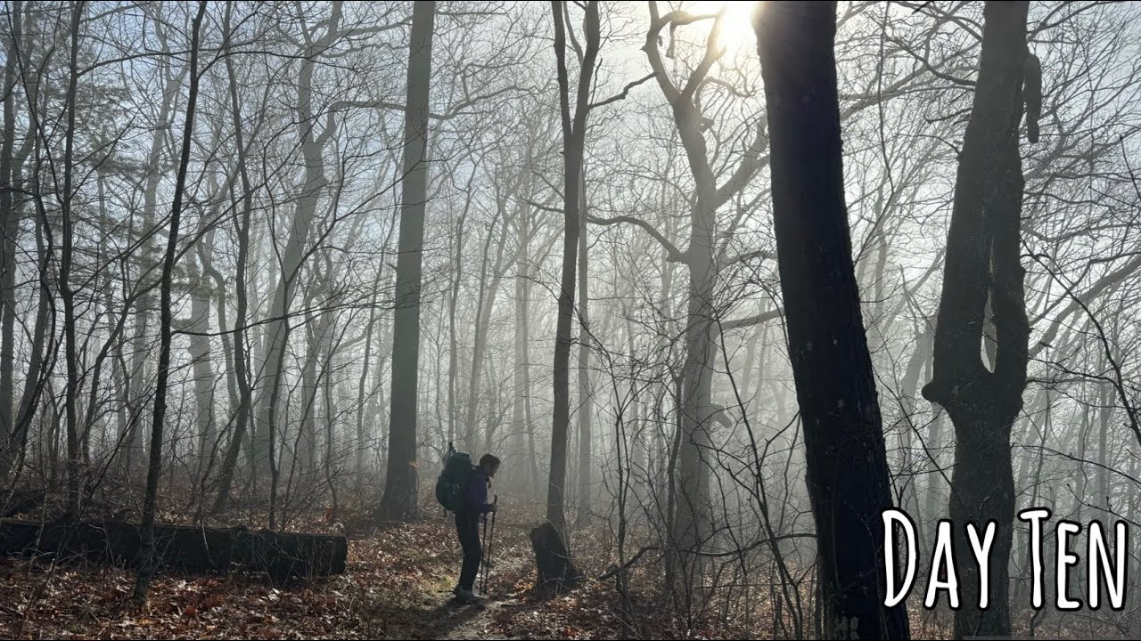 Day Ten | Appalachian Trail Thru Hike 2024 | Standing tall like the mountains! #appalachiantrail
