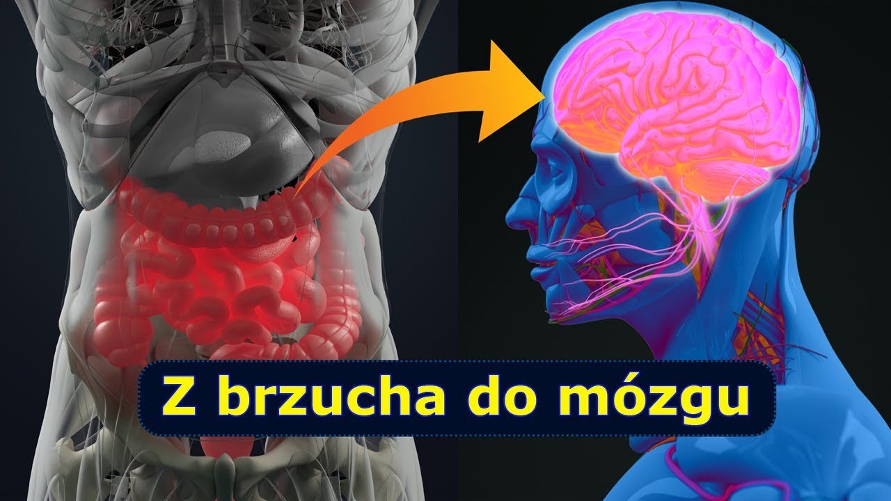 Chorujesz i nikt nie zna przyczyny? To może być flora bakteryjna.