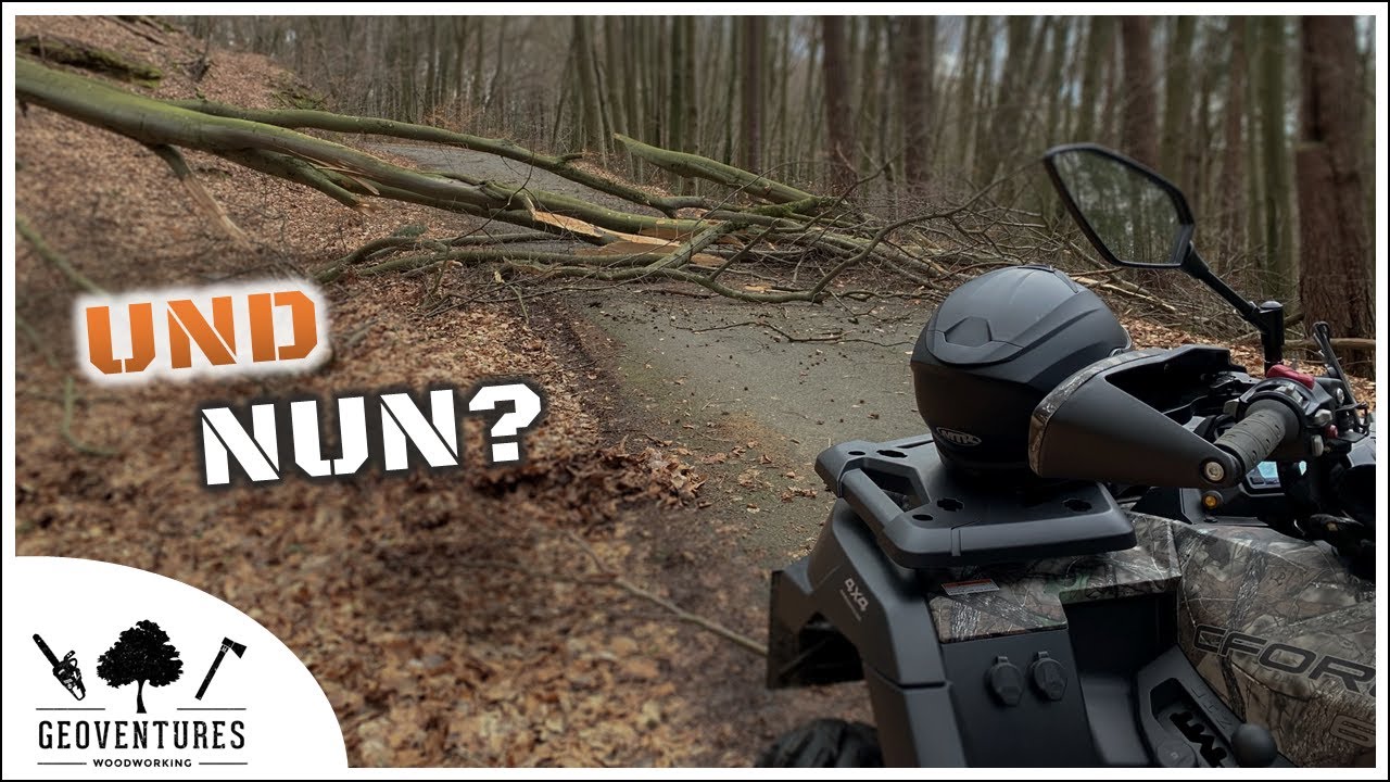 TEST: Baum im Weg? Mit der NORDIC POCKET SAW kein Problem!