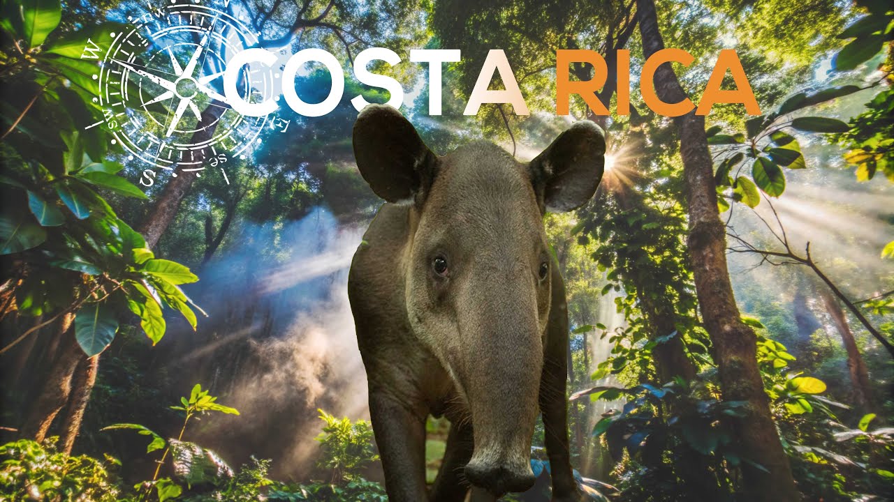 J'explore la jungle du Costa Rica - Des animaux partout !